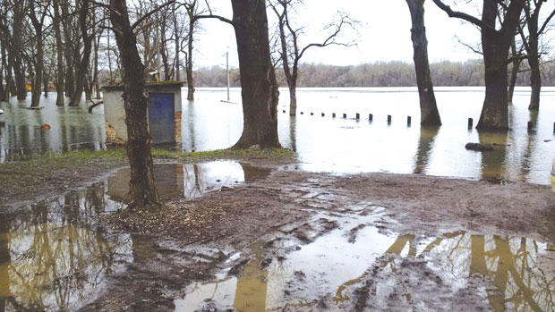 Сава и Колубара прете Обреновцу